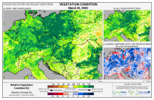 Dopady na vegetaci - Evropa - 22. březen 2020