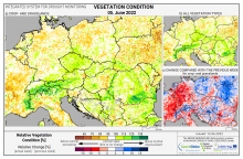 Dopady na vegetaci - Evropa - 5. červen 2022