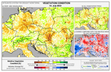 Dopady na vegetaci - Evropa - 10. červenec 2022