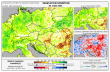 Dopady na vegetaci - Evropa - 4. srpen 2024