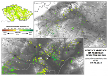 Vegetace trvalých kultur - 3. červen 2018