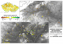 Vegetace trvalých kultur - 21. červenec 2019