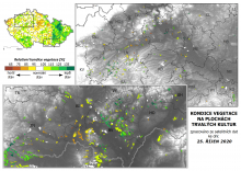 Vegetace trvalých kultur - 25. říjen 2020