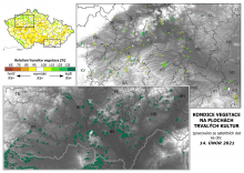 Vegetace trvalých kultur - 14. únor 2021