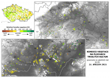 Vegetace trvalých kultur - 21. březen 2021