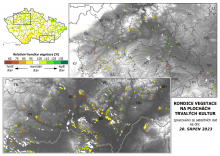 Vegetace trvalých kultur - 20. srpen 2023