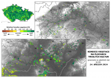 Vegetace trvalých kultur - 24. březen 2024