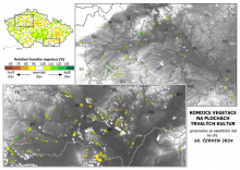 Vegetace trvalých kultur - 16. červen 2024