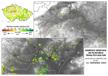 Vegetace trvalých kultur - 13. červenec 2024